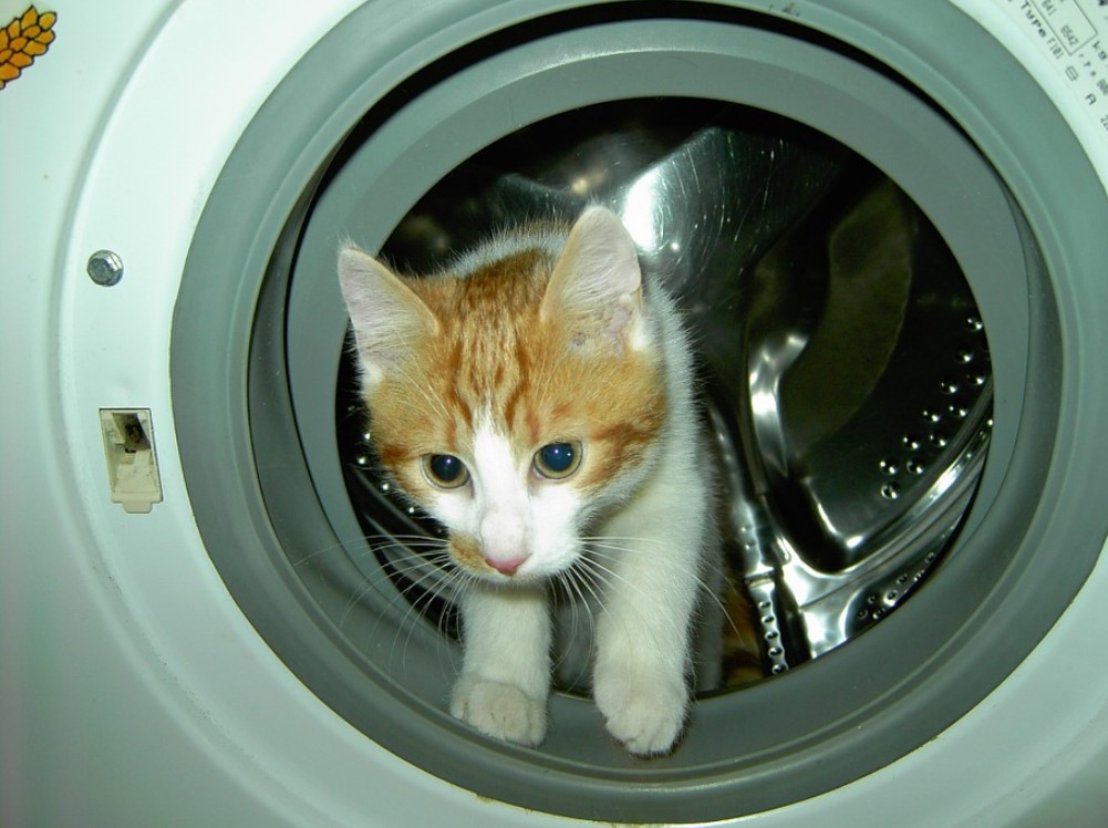 Основные моменты эксплуатации стиральных машин
