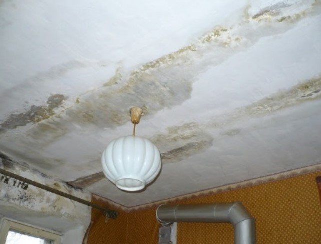 Обновляем потолок: Советы по ремонту