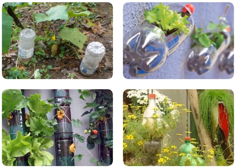 Используем повторно пластиковые бутылки в саду: 7 способов