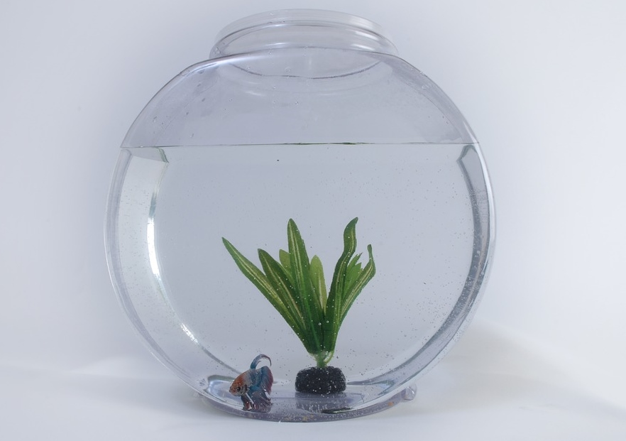 Делаем мини-аквариум из пластиковой бутылки