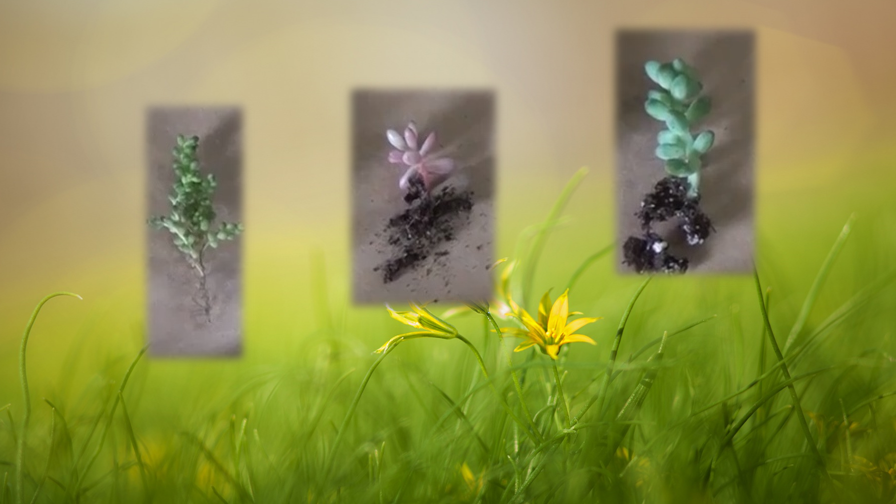 «Частичка лета зимой»: Делаем мини-сад на холодильнике