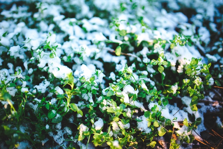 «Снег на участке – что с ним делать?»: 5 ценных советов