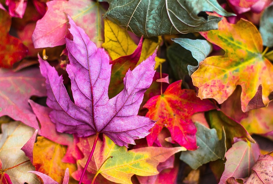 «Добавляем уюта и тепла»: Создание подсвечника с осенними листьями