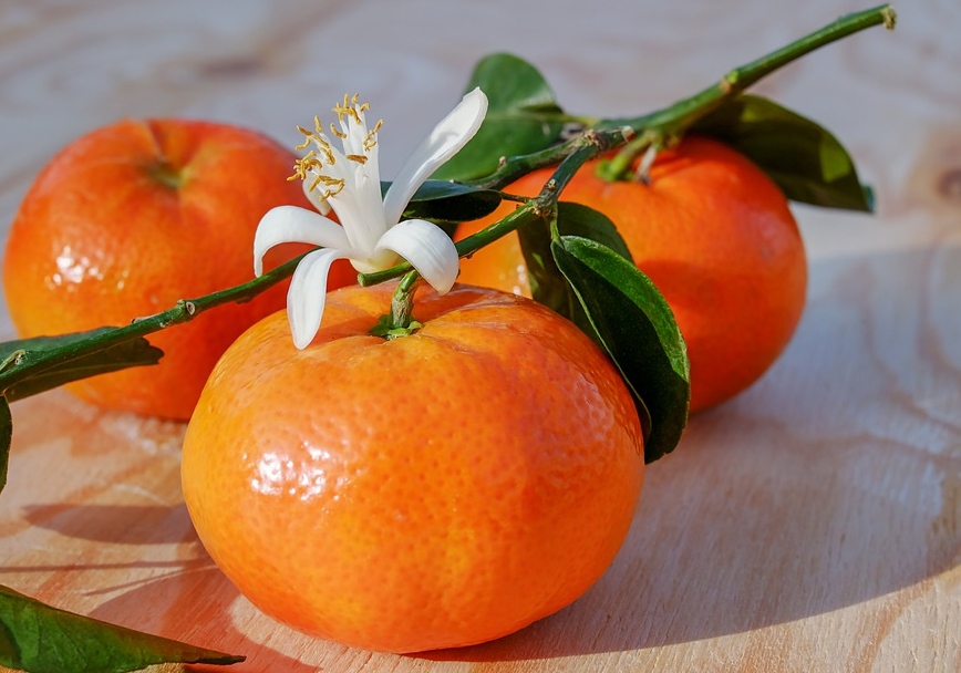 «Аромат зимы»: 12 способов использования апельсиновых корок